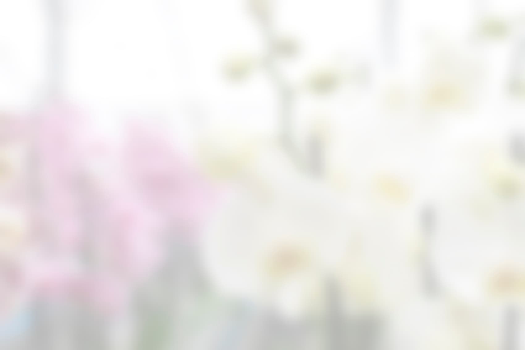 Footer achtergrond