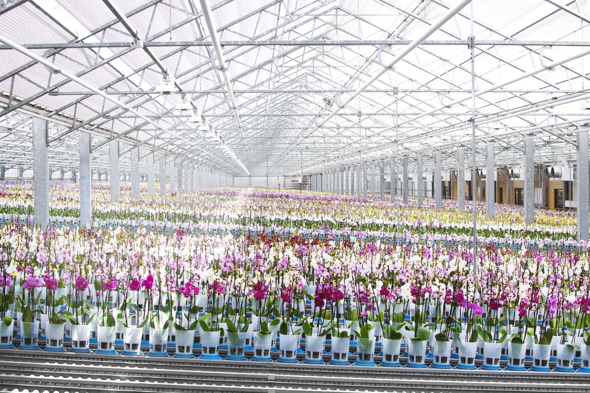 Onze droom voor 2030