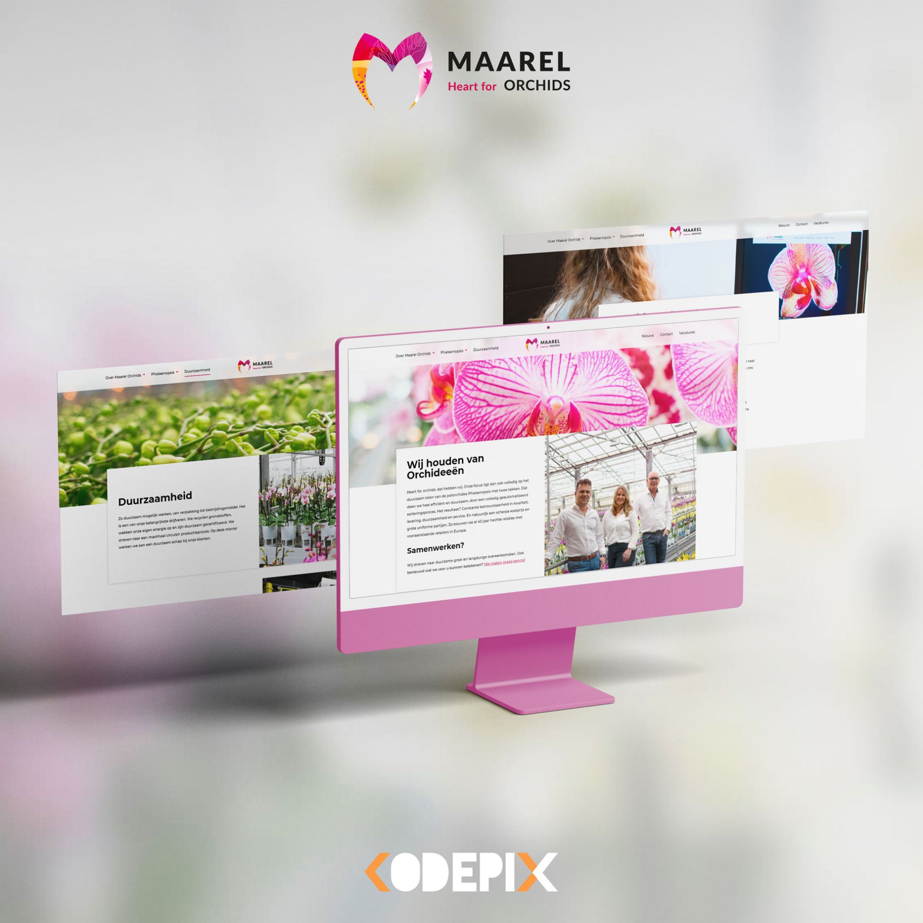 Een nieuw jaar, een nieuwe look!