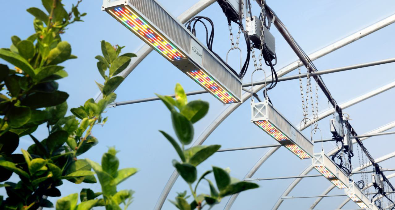Leren van LED-belichtingsproef