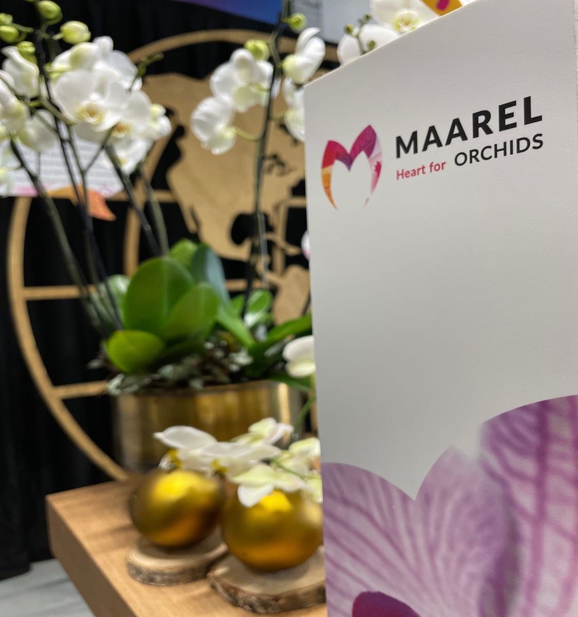 FloraHolland Trade Fair 2023